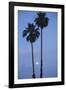 Setting Sun between Two California Fan Palm Trees-Timothy Hearsum-Framed Photographic Print