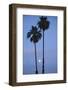 Setting Sun between Two California Fan Palm Trees-Timothy Hearsum-Framed Photographic Print