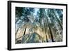 Setting Sun Illuminating the Frozen Forest of Koenigstuhl Mountain (Kings Chair)-Andreas Brandl-Framed Photographic Print