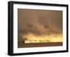 Setting Sun Lights Cloud of Dust, Masai Mara Game Reserve, Kenya-Paul Souders-Framed Photographic Print