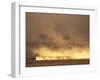 Setting Sun Lights Cloud of Dust, Masai Mara Game Reserve, Kenya-Paul Souders-Framed Photographic Print