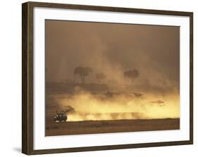 Setting Sun Lights Cloud of Dust, Masai Mara Game Reserve, Kenya-Paul Souders-Framed Photographic Print