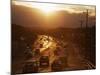 Setting Sun on Avenida Boulevard, Albuquerque, New Mexico, United States of America, North America-Richard Cummins-Mounted Photographic Print