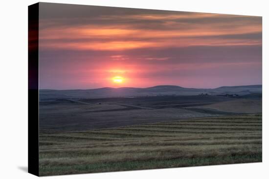 Setting Sun over Harvested Field, Gleichen, Alberta, Canada-null-Stretched Canvas