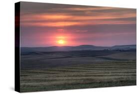 Setting Sun over Harvested Field, Gleichen, Alberta, Canada-null-Stretched Canvas