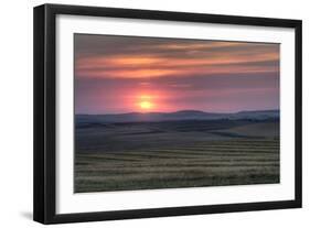 Setting Sun over Harvested Field, Gleichen, Alberta, Canada-null-Framed Photographic Print