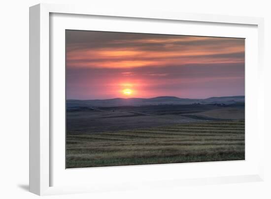 Setting Sun over Harvested Field, Gleichen, Alberta, Canada-null-Framed Photographic Print