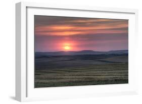 Setting Sun over Harvested Field, Gleichen, Alberta, Canada-null-Framed Photographic Print