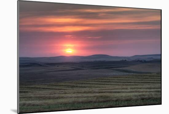 Setting Sun over Harvested Field, Gleichen, Alberta, Canada-null-Mounted Photographic Print