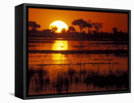 Setting Sun over Lush Banks, Chobe National Park, Botswana-Paul Souders-Framed Stretched Canvas