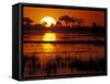 Setting Sun over Lush Banks, Chobe National Park, Botswana-Paul Souders-Framed Stretched Canvas