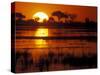 Setting Sun over Lush Banks, Chobe National Park, Botswana-Paul Souders-Stretched Canvas