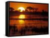 Setting Sun over Lush Banks, Chobe National Park, Botswana-Paul Souders-Framed Stretched Canvas