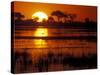 Setting Sun over Lush Banks, Chobe National Park, Botswana-Paul Souders-Stretched Canvas