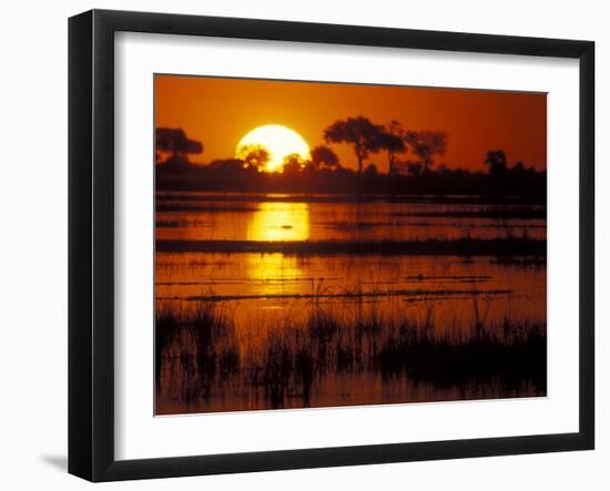 Setting Sun over Lush Banks, Chobe National Park, Botswana-Paul Souders-Framed Photographic Print