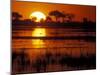 Setting Sun over Lush Banks, Chobe National Park, Botswana-Paul Souders-Mounted Photographic Print