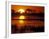 Setting Sun over Lush Banks, Chobe National Park, Botswana-Paul Souders-Framed Photographic Print