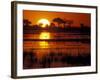 Setting Sun over Lush Banks, Chobe National Park, Botswana-Paul Souders-Framed Photographic Print