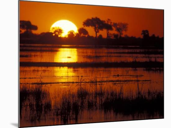 Setting Sun over Lush Banks, Chobe National Park, Botswana-Paul Souders-Mounted Photographic Print