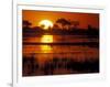 Setting Sun over Lush Banks, Chobe National Park, Botswana-Paul Souders-Framed Photographic Print