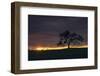 Setting Sun Peek, Twisted Oak Tree,  Mount Diablo, Walnut Creek-Vincent James-Framed Photographic Print