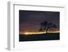 Setting Sun Peek, Twisted Oak Tree,  Mount Diablo, Walnut Creek-Vincent James-Framed Photographic Print