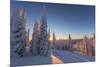 Setting sun through forest of snow ghosts at Whitefish, Montana, USA-Chuck Haney-Mounted Photographic Print