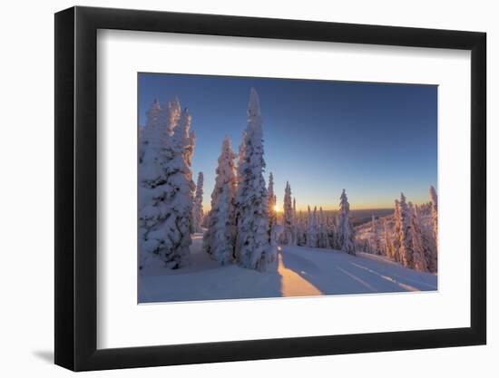 Setting sun through forest of snow ghosts at Whitefish, Montana, USA-Chuck Haney-Framed Premium Photographic Print