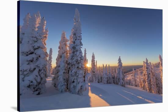 Setting sun through forest of snow ghosts at Whitefish, Montana, USA-Chuck Haney-Stretched Canvas