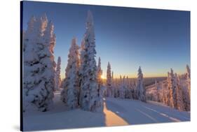 Setting sun through forest of snow ghosts at Whitefish, Montana, USA-Chuck Haney-Stretched Canvas