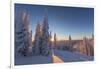 Setting sun through forest of snow ghosts at Whitefish, Montana, USA-Chuck Haney-Framed Photographic Print