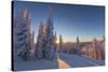 Setting sun through forest of snow ghosts at Whitefish, Montana, USA-Chuck Haney-Stretched Canvas