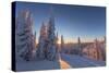 Setting sun through forest of snow ghosts at Whitefish, Montana, USA-Chuck Haney-Stretched Canvas
