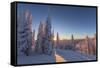 Setting sun through forest of snow ghosts at Whitefish, Montana, USA-Chuck Haney-Framed Stretched Canvas