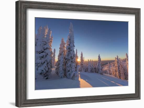 Setting sun through forest of snow ghosts at Whitefish, Montana, USA-Chuck Haney-Framed Photographic Print