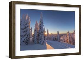 Setting sun through forest of snow ghosts at Whitefish, Montana, USA-Chuck Haney-Framed Photographic Print