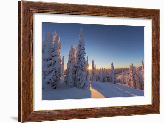 Setting sun through forest of snow ghosts at Whitefish, Montana, USA-Chuck Haney-Framed Photographic Print