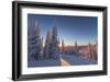Setting sun through forest of snow ghosts at Whitefish, Montana, USA-Chuck Haney-Framed Photographic Print