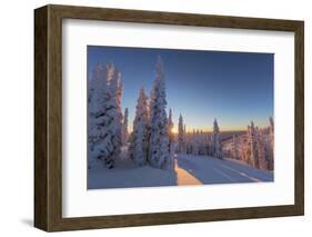 Setting sun through forest of snow ghosts at Whitefish, Montana, USA-Chuck Haney-Framed Photographic Print