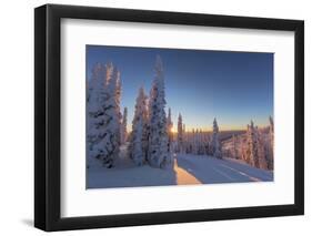 Setting sun through forest of snow ghosts at Whitefish, Montana, USA-Chuck Haney-Framed Photographic Print