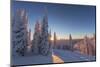 Setting sun through forest of snow ghosts at Whitefish, Montana, USA-Chuck Haney-Mounted Photographic Print