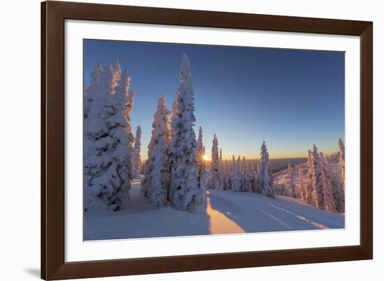 Setting sun through forest of snow ghosts at Whitefish, Montana, USA-Chuck Haney-Framed Photographic Print