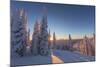 Setting sun through forest of snow ghosts at Whitefish, Montana, USA-Chuck Haney-Mounted Photographic Print