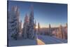 Setting sun through forest of snow ghosts at Whitefish, Montana, USA-Chuck Haney-Stretched Canvas