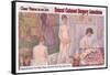 Seurat Cataract Surgery Associates-null-Framed Stretched Canvas