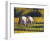 Seurat: Farm Women, C1882-Georges Seurat-Framed Giclee Print