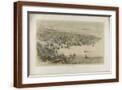 Brown Frame