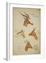 Seven Antelopes/Gazelles, C.1863-John Hanning Speke-Framed Giclee Print