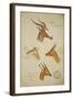 Seven Antelopes/Gazelles, C.1863-John Hanning Speke-Framed Giclee Print