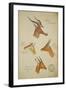 Seven Antelopes/Gazelles, C.1863-John Hanning Speke-Framed Giclee Print